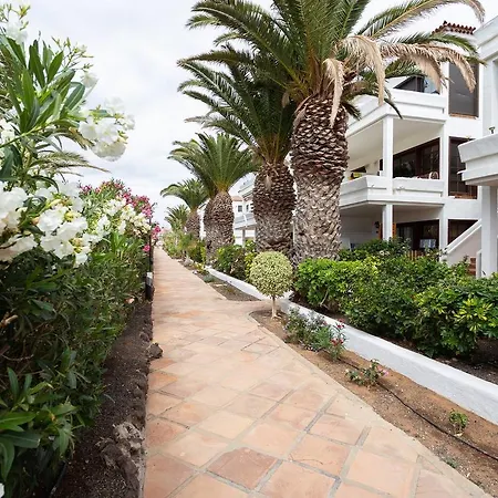 Apartamento Amarilla Golf Apartment San Miguel de Abona